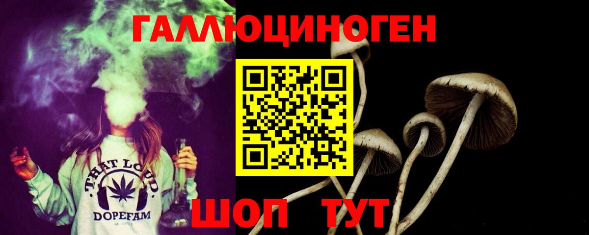 купить наркотики сайты  Псилоцибиновые грибы GOLDEN TEACHER  Галлюциногенные грибы GOLDEN TEACHER  Вход с VPN  Астрахань 